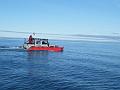 Bering Strait Crossing 184
